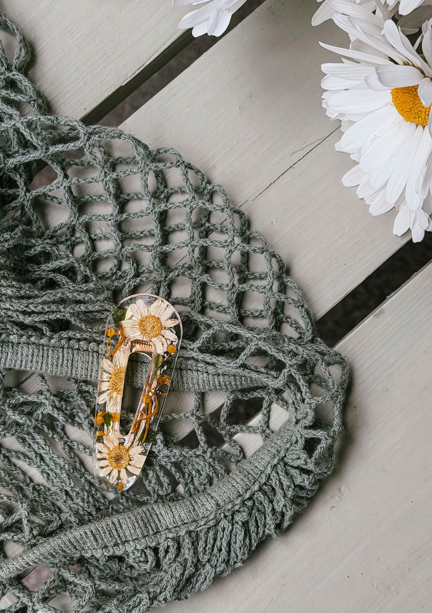 Päivänkakkara, Daisy - Hair clip from real flowers